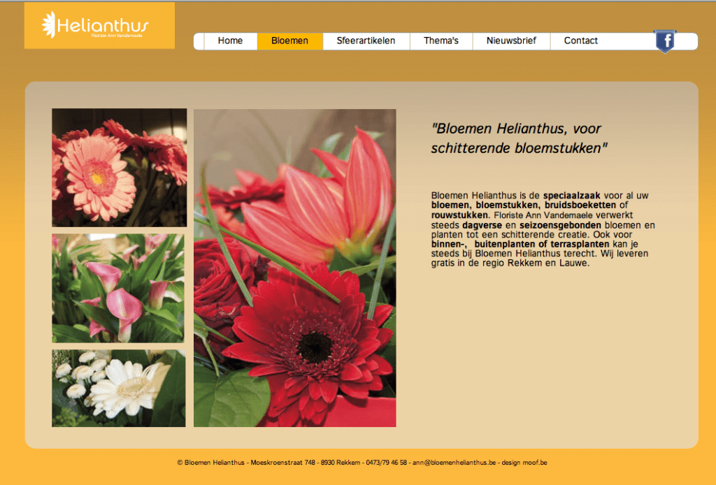 Bloemenhelianthus. Thema pagina