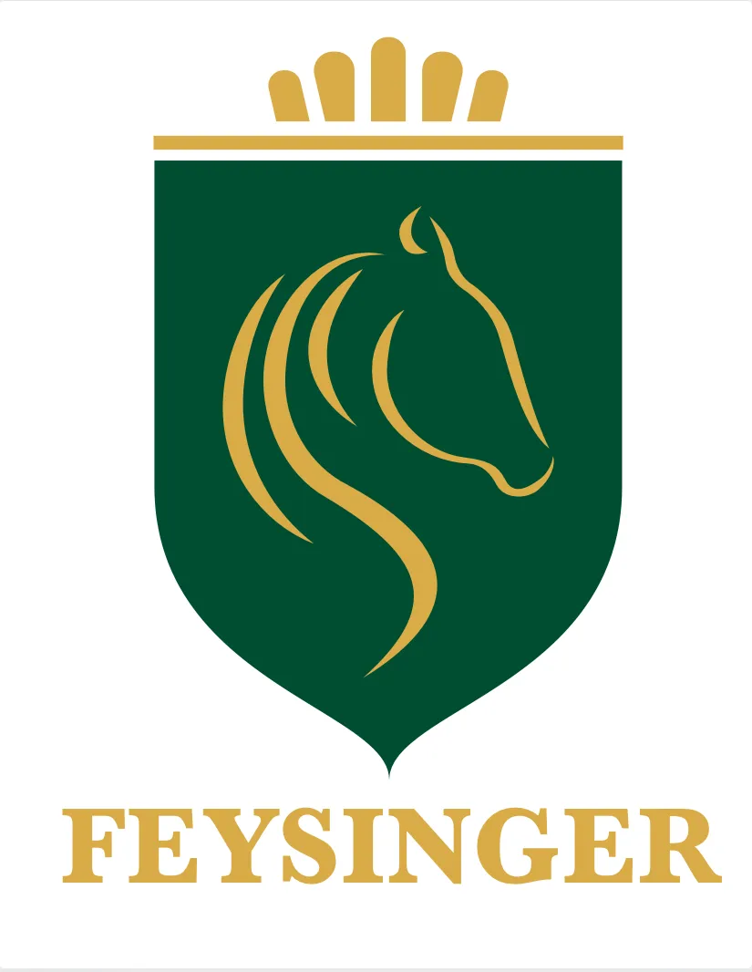 Feysinger_logo_moof_creative agency