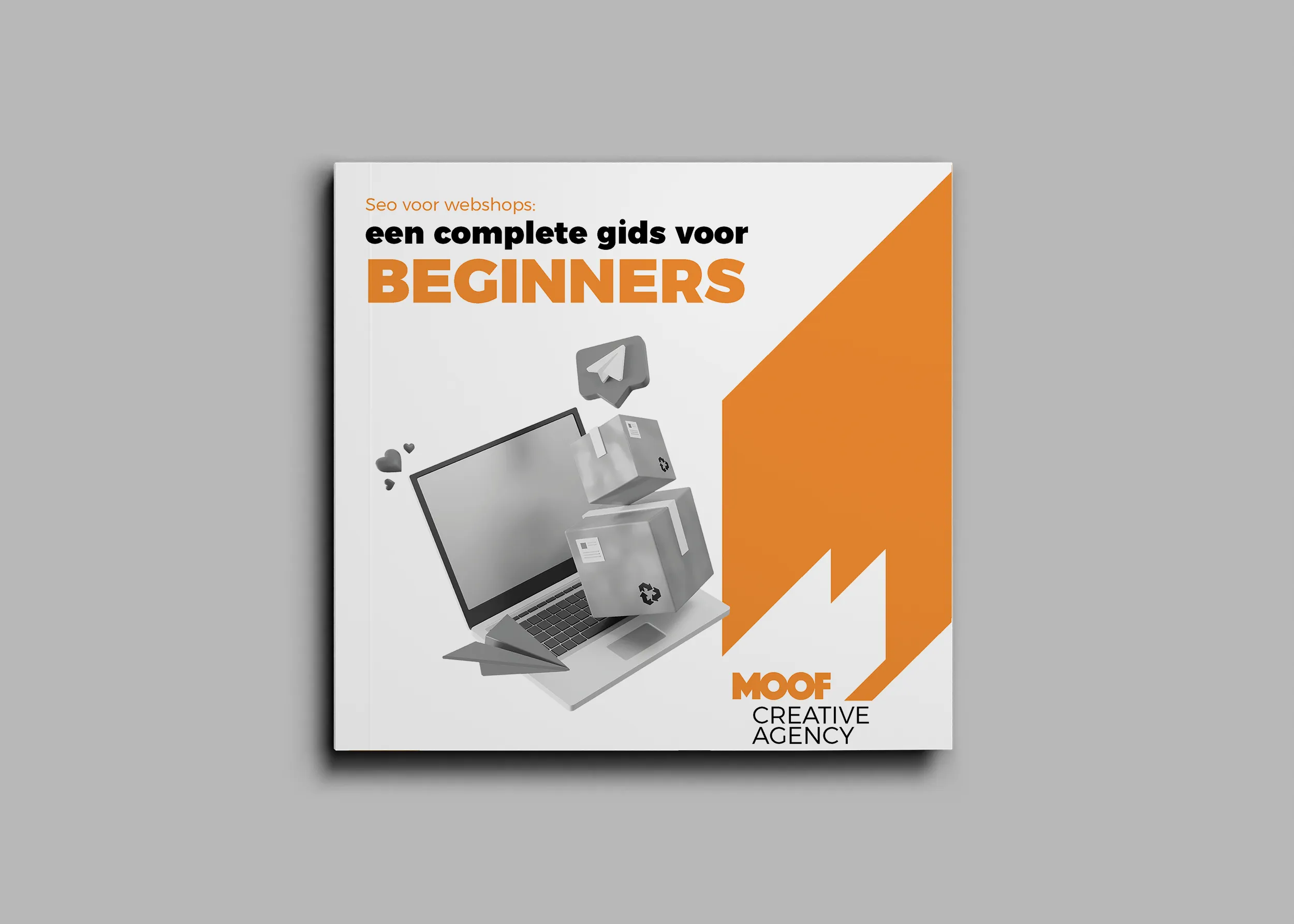 gratis e-boek voor webshops een afbeelding van het gratis e-boek over seo voor webshops